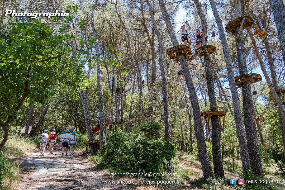 Parcours dans les arbres aux Passerelles des Cimes