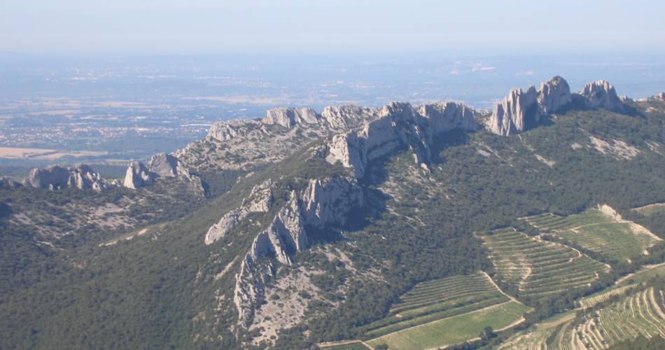Les paysages des Dentelles de Montmirail