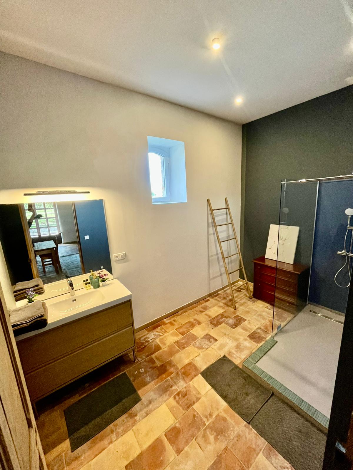 La salle de bains avec douche et vasque