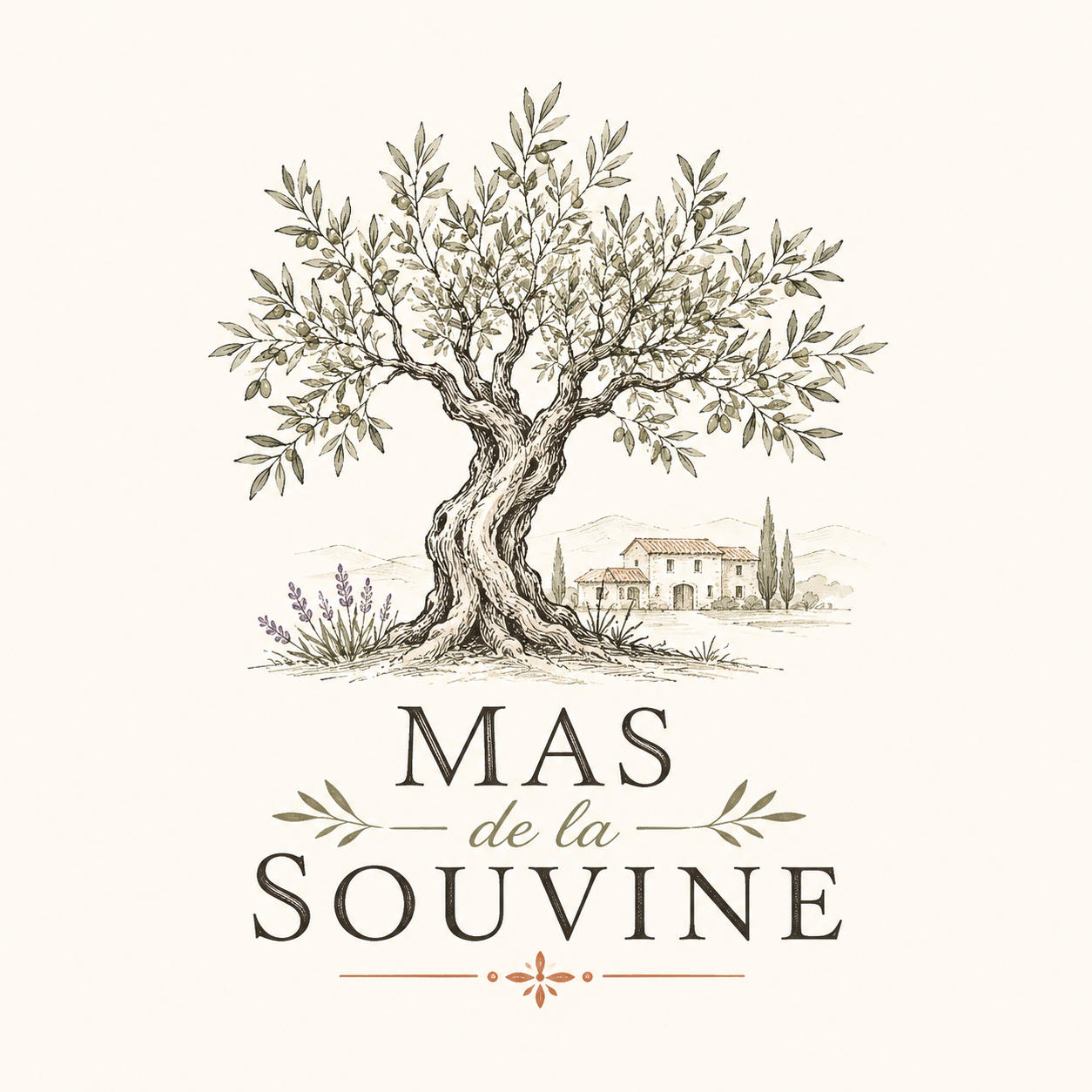 Logo du Mas de la Souvine : un olivier, une maison provençale et le nom du Mas